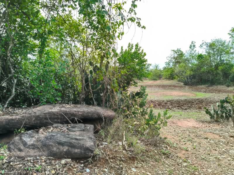 ที่ดินขามทะเลสอ นครราชสีมา, Nakhon Ratchasima, Pong Daeng, Kham Thale So, Nakhon Ratchasima, , 25,064 sqm, Land For Sale, by The Best Property ยุ, 500347655 - DDproperty.com
