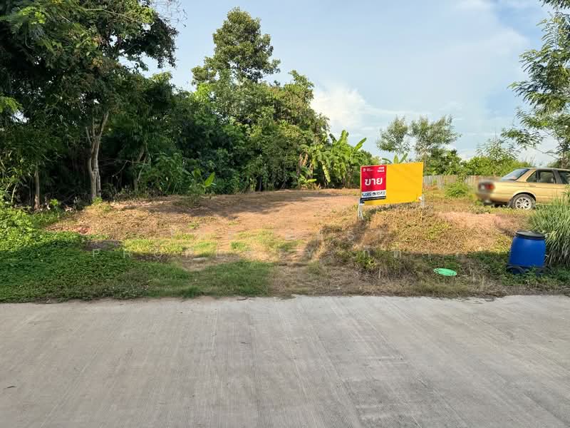 ที่ดินพนมสารคาม ฉะเชิงเทรา, ฉะเชิงเทรา, ท่าถ่าน, พนมสารคาม, ฉะเชิงเทรา, 440 ตร.ม., ที่ดิน ขาย, โดย The Best Property กีต้าร์, 500347690 - DDproperty.com