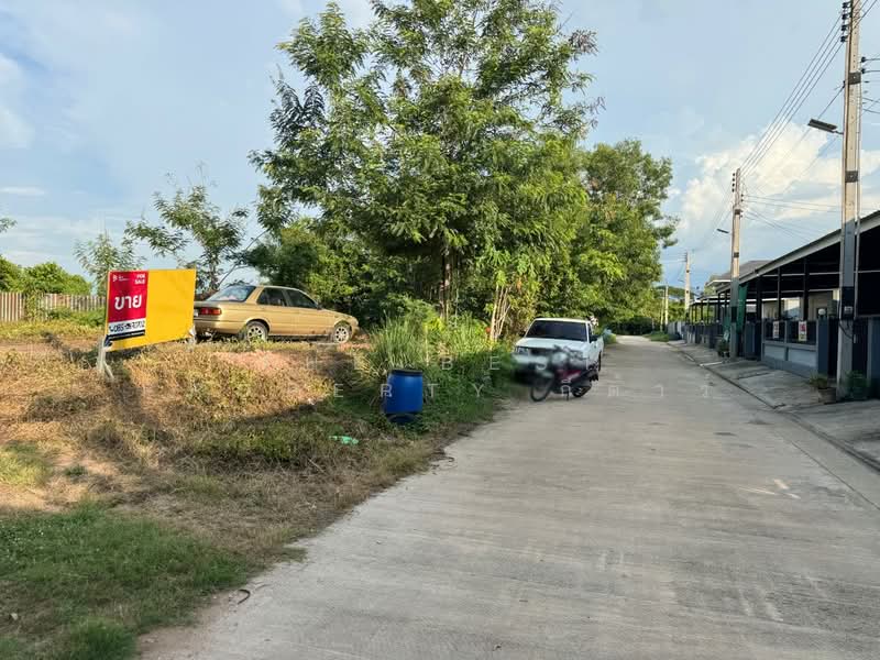 ที่ดินพนมสารคาม ฉะเชิงเทรา, Chachoengsao, Tha Than, Phanom Sarakham, Chachoengsao, , 440 sqm, Land For Sale, by The Best Property กีต้าร์, 500347690 - DDproperty.com