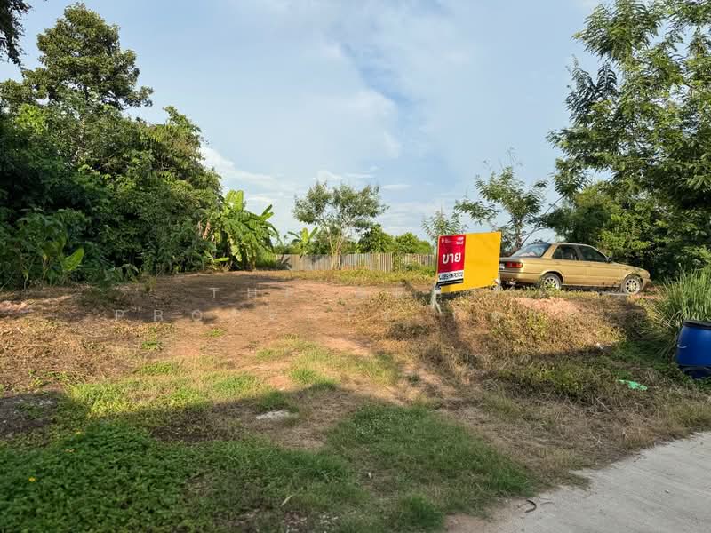 ที่ดินพนมสารคาม ฉะเชิงเทรา, Chachoengsao, Tha Than, Phanom Sarakham, Chachoengsao, , 440 sqm, Land For Sale, by The Best Property กีต้าร์, 500347690 - DDproperty.com