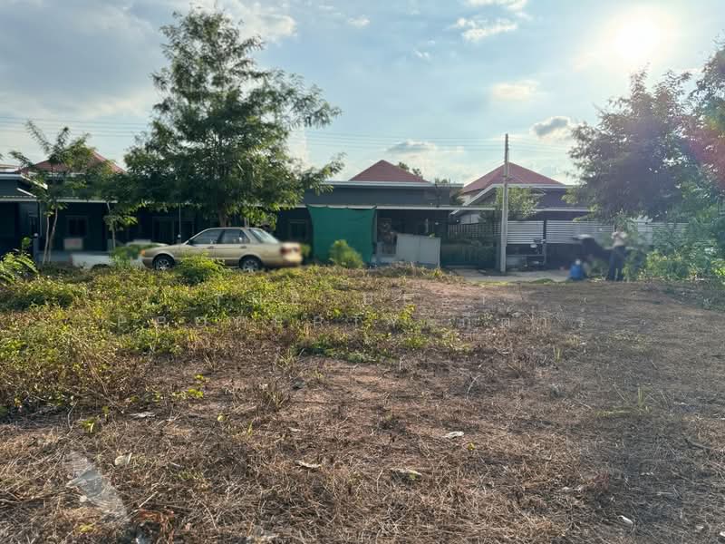 ที่ดินพนมสารคาม ฉะเชิงเทรา, Chachoengsao, Tha Than, Phanom Sarakham, Chachoengsao, , 440 sqm, Land For Sale, by The Best Property กีต้าร์, 500347690 - DDproperty.com