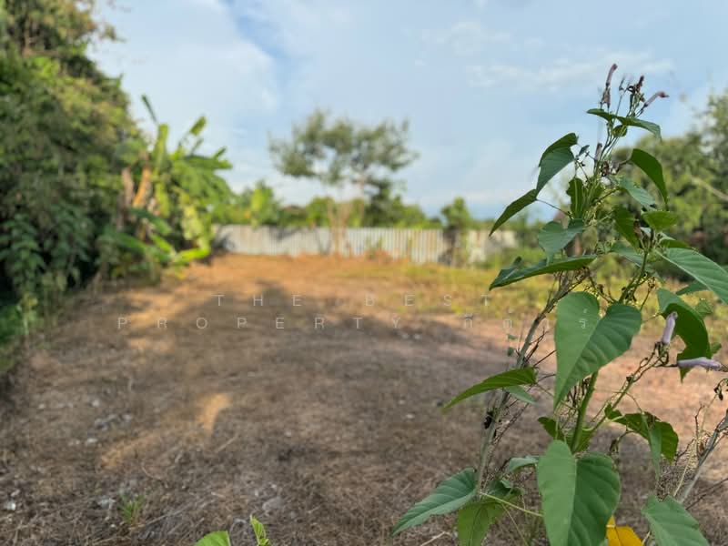 ที่ดินพนมสารคาม ฉะเชิงเทรา, ฉะเชิงเทรา, ท่าถ่าน, พนมสารคาม, ฉะเชิงเทรา, 440 ตร.ม., ที่ดิน ขาย, โดย The Best Property กีต้าร์, 500347690 - DDproperty.com
