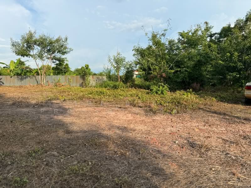 ที่ดินพนมสารคาม ฉะเชิงเทรา, ฉะเชิงเทรา, ท่าถ่าน, พนมสารคาม, ฉะเชิงเทรา, 440 ตร.ม., ที่ดิน ขาย, โดย The Best Property กีต้าร์, 500347690 - DDproperty.com