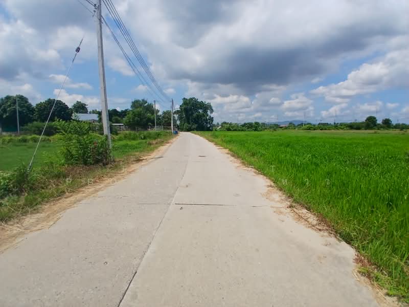 ที่ดินพนัสนิคม ชลบุรี, Chon Buri (Pattaya), Thung Khwang, Phanat Nikhom, Chon Buri (Pattaya), , 8,000 sqm, Land For Sale, by The Best Property แหวว, 500347787 - DDproperty.com