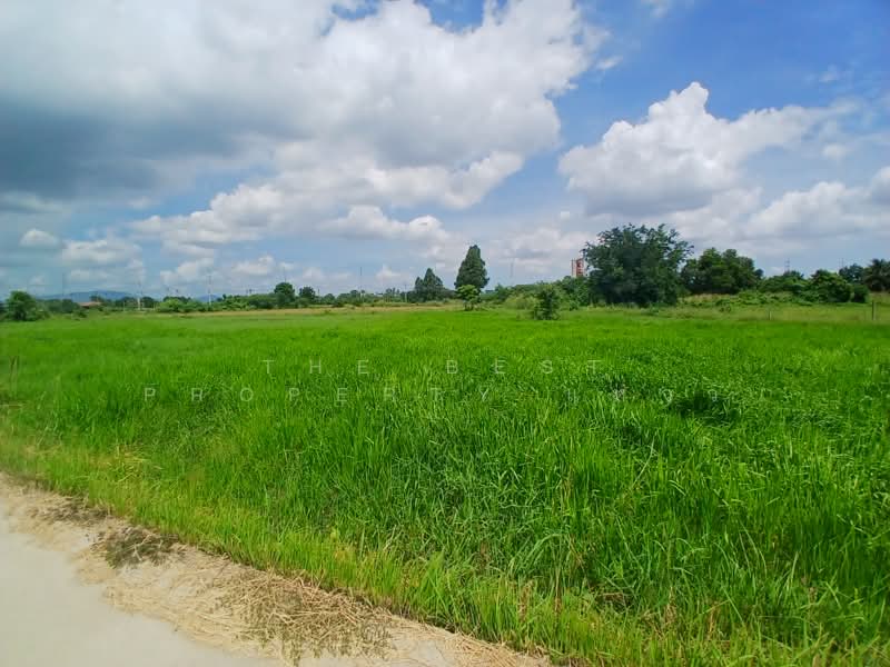 ที่ดินพนัสนิคม ชลบุรี, Chon Buri (Pattaya), Thung Khwang, Phanat Nikhom, Chon Buri (Pattaya), , 8,000 sqm, Land For Sale, by The Best Property แหวว, 500347787 - DDproperty.com