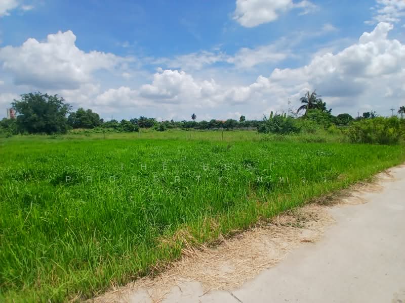 ที่ดินพนัสนิคม ชลบุรี, Chon Buri (Pattaya), Thung Khwang, Phanat Nikhom, Chon Buri (Pattaya), , 8,000 sqm, Land For Sale, by The Best Property แหวว, 500347787 - DDproperty.com