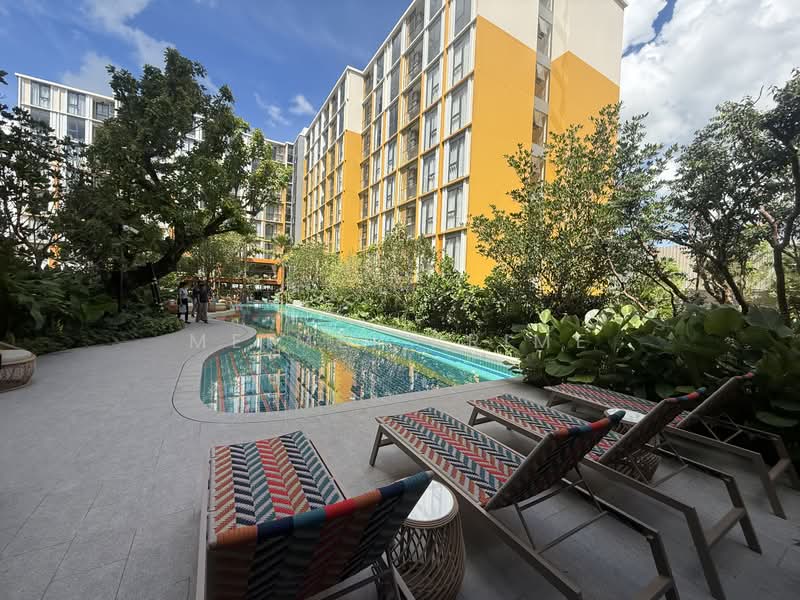 The Base Rise, Phuket, Wichit, Muang Phuket, Phuket, 1 Bedroom, 31 sqm, Condo For Rent, by MeiMei Prime, 500347807 - DDproperty.com