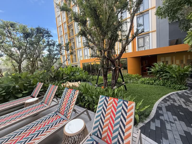The Base Rise, ภูเก็ต, วิชิต, เมืองภูเก็ต, ภูเก็ต, 31 ตร.ม., คอนโด ให้เช่า, โดย MeiMei Prime, 500347807 - DDproperty.com