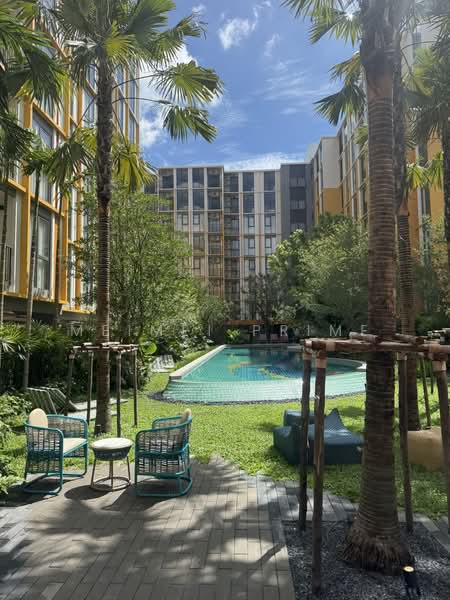 The Base Rise, Phuket, Wichit, Muang Phuket, Phuket, 1 Bedroom, 31 sqm, Condo For Rent, by MeiMei Prime, 500347807 - DDproperty.com
