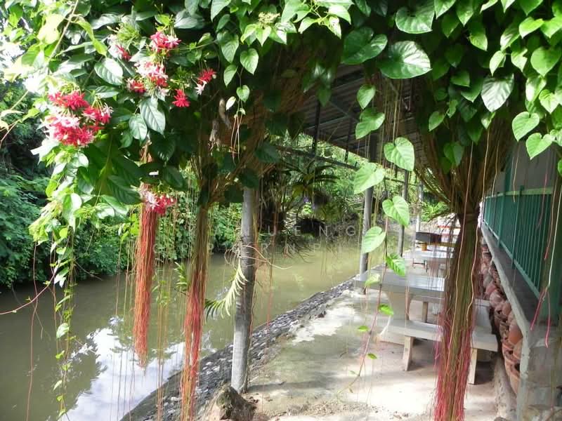 แก่งกระจาน, เพชรบุรี, แก่งกระจาน, แก่งกระจาน, เพชรบุรี, 2,400 ตร.ม., ที่ดิน ขาย, โดย Kanueng Noppornpitak, 500348044 - DDproperty.com
