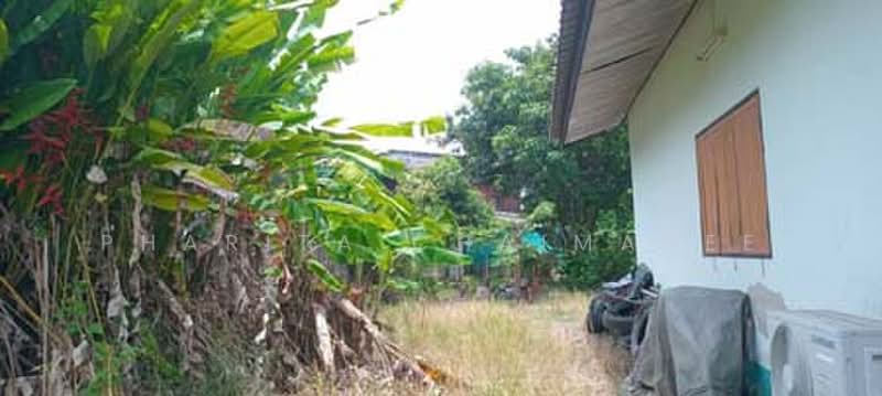 ไม่พบโครงการ, Chiang Mai, -, San Sai Luang, San Sai, Chiang Mai, 2 Bedrooms, 21 sqm, Single Detached House For Sale, by Pharita Chaimanee, 500348123 - DDproperty.com