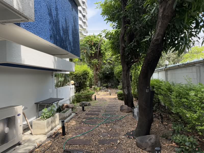 บ้านเดี่ยวลาดพร้าวซอย 8, กรุงเทพ, จอมพล, จตุจักร, กรุงเทพ, 500 ตร.ม., บ้านเดี่ยว ให้เช่า, โดย นิธินันท์ ชานวาทิกบุศย์, 500348213 - DDproperty.com