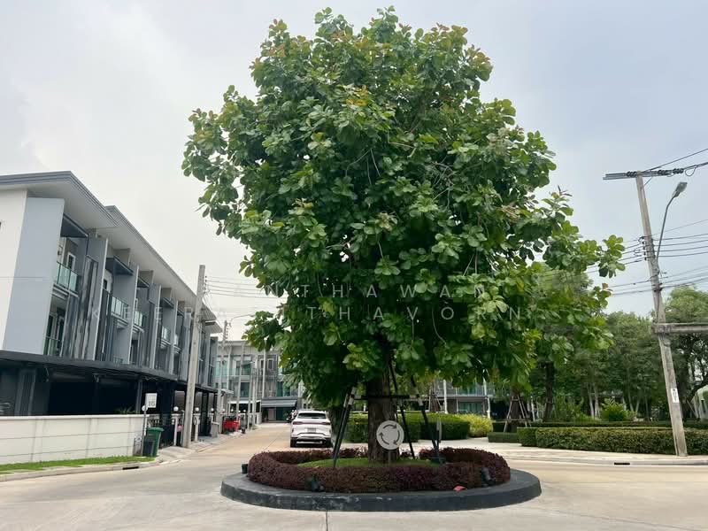 Town Avenue Merge Rattanatibet : ทาวน์ อเวนิว เมิร์จ รัตนาธิเบศร์, นนทบุรี, ถนน รัตนาธิเบศร์, บางรักใหญ่, บางบัวทอง, นนทบุรี, 170 ตร.ม., ทาวน์เฮ้าส์ ขาย, โดย Panthawan Keeratithavornanan, 500348239 - DDproperty.com
