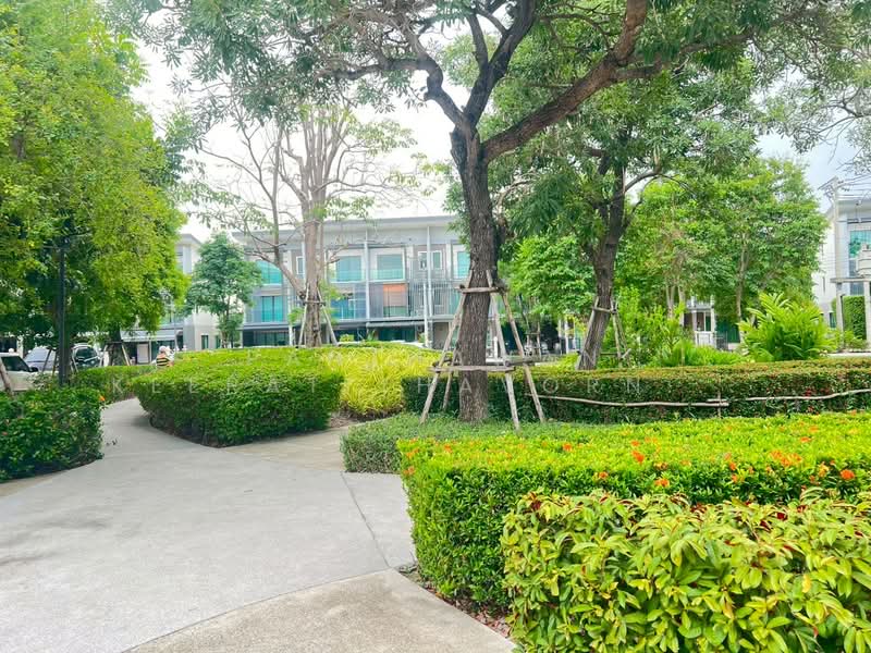 Town Avenue Merge Rattanatibet, Nonthaburi, Rattanathibet Road, Bang Rak Yai, Bang Bua Thong, Nonthaburi, 3 Bedrooms, 170 sqm, Townhouse For Rent, by Panthawan Keeratithavornanan, 500348250 - DDproperty.com