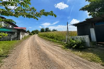 ขาย - ซอยเพชรเกษม 77 แยก 4-17 แขวงหลักสอง เขตภาษีเจริญ กทม.10160, กรุงเทพ