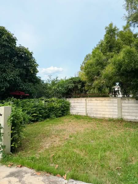 บ้านโชคประชา | Baan Chokpracha, กรุงเทพ, เทิดราชัน, สีกัน, ดอนเมือง, กรุงเทพ, 330 ตร.ม., บ้านเดี่ยว ขาย, โดย Connex Property, 500348548 - DDproperty.com