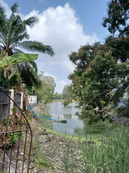 วินด์มิลล์ วิลเลจ บางนา, Samut Prakan, Bangphli Yai, Bang Plee, Samut Prakan, , 1,388 sqm, Land For Sale, by HOME Real Estate Service, 500348586 - DDproperty.com