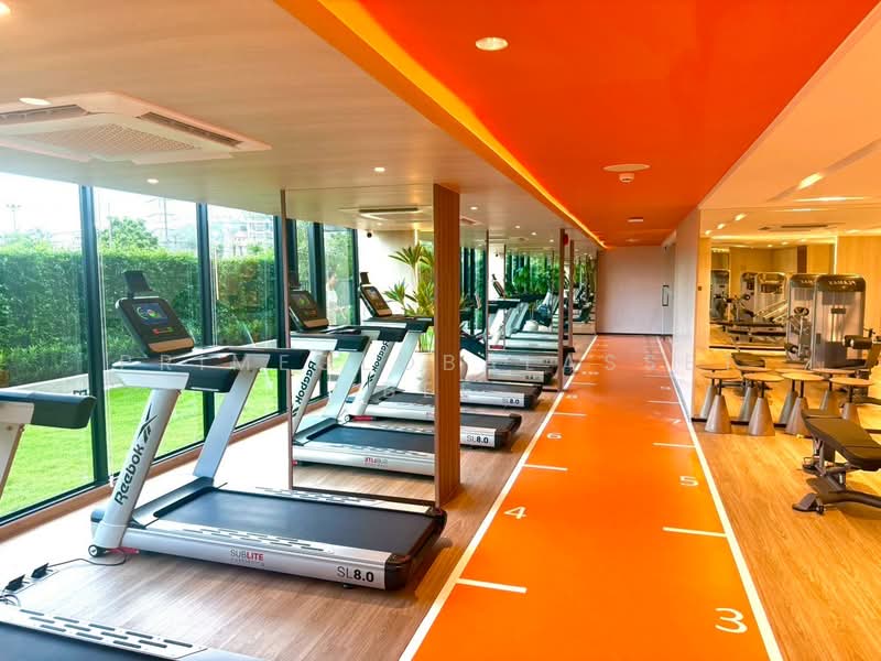 The Base Bukit Phuket, Phuket, 12 Vichitsongkram Rd, Wichit, Muang Phuket, Phuket, 1 Bedroom, 30 sqm, Condo For Rent, by primeglobalasset bee, 500348644 - DDproperty.com