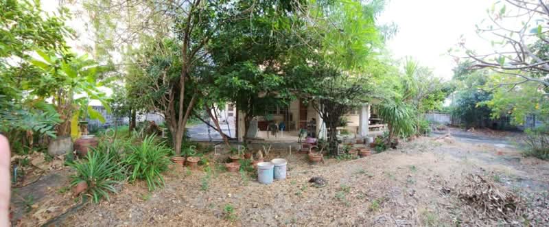 บ้านเดี่ยว ซอยรามอินทรา 14, กรุงเทพ, ท่าแร้ง, บางเขน, กรุงเทพ, 200 ตร.ม., บ้านเดี่ยว ขาย, โดย HOME Real Estate Service, 500348668 - DDproperty.com