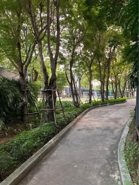 IDEO O2 บางนา, กรุงเทพ, 195 ถนนสรรพาวุธ, บางนาใต้, บางนา, กรุงเทพ, 28 ตร.ม., คอนโด ขาย, โดย Veera Sawatrangsri, 500348757 - DDproperty.com