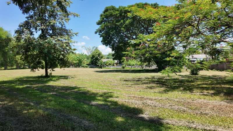 ที่ดินแปลงพิเศษสำหรับขายในจังหวัดหางดง, เชียงใหม่, น้ำแพร่, หางดง, เชียงใหม่, 3,200 ตร.ม., ที่ดิน ขาย, โดย คุณ รุ่งทิพย์, 500349173 - DDproperty.com