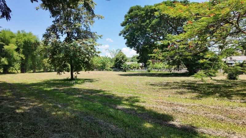 ที่ดินแปลงพิเศษสำหรับขายในจังหวัดหางดง, เชียงใหม่, น้ำแพร่, หางดง, เชียงใหม่, 3,200 ตร.ม., ที่ดิน ขาย, โดย คุณ รุ่งทิพย์, 500349173 - DDproperty.com