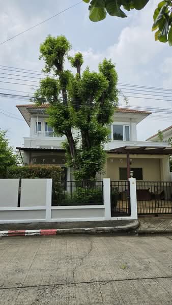 Perfect Place Sukhumvit 77-Suvarnabhumi, Samut Prakan, Lat Krabang Road, Rachathewa, Bang Plee, Samut Prakan, 4 Bedrooms, 270 sqm, Single Detached House For Rent, by Nattayaporn Peumkul (Benz), 500349493 - DDproperty.com