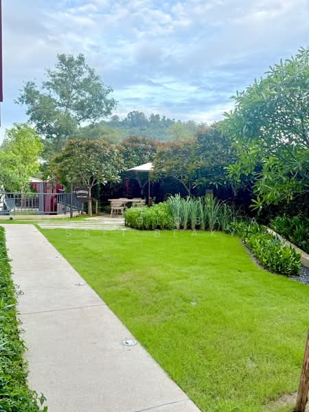 The Base Bukit Phuket : เดอะ เบส บูกิต, ภูเก็ต, 12 ถ.วิชิตสงคราม, วิชิต, เมืองภูเก็ต, ภูเก็ต, 30 ตร.ม., คอนโด ให้เช่า, โดย primeglobalasset Beaky, 500349543 - DDproperty.com
