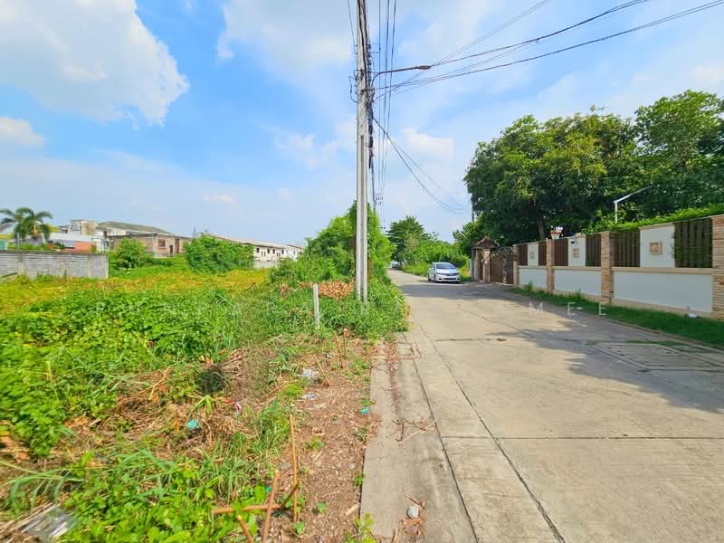ที่ดินเปล่า ซอยบางกรวย-ไทรน้อย32, Nonthaburi, Bang Si Thong, Bang Kruai, Nonthaburi, , 396 sqm, Land For Sale, by Punpapa Rassamee, 500349553 - DDproperty.com