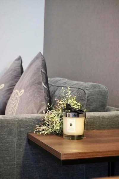 Life One Wireless, Bangkok, 1 Wireless Road, Lumphini, Pathum Wan, Bangkok, 1 Bedroom, 35 sqm, Condo For Rent, by Nattapol Jedsadathitikul, 500349610 - DDproperty.com