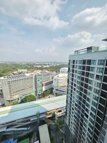 CIELA Sripatum, Bangkok, 2999 Phahonyothin Road, Lat Yao, Chatuchak, Bangkok, 1 Bedroom, 34 sqm, Condo For Rent, by Phacharakorn Anusiri, 500349736 - DDproperty.com