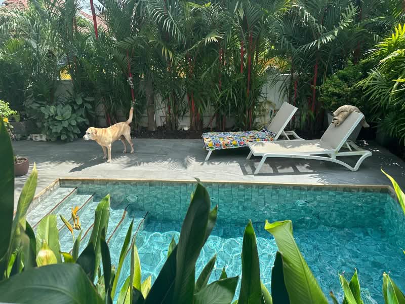 กะทู้, ภูเก็ต, กะทู้, ภูเก็ต, 400 ตร.ม., บ้านเดี่ยว ให้เช่า, โดย Diss, 500349751 - DDproperty.com