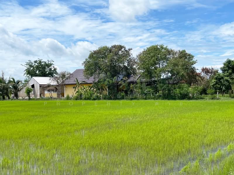 บ้านเดี่ยวหนองขนาน เพชรบุรี, เพชรบุรี, หนองขนาน, เมืองเพชรบุรี, เพชรบุรี, 100 ตร.ม., บ้านเดี่ยว ขาย, โดย The Best Property ต่าย, 500349773 - DDproperty.com