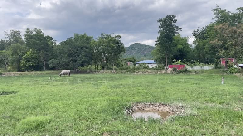 นครนายก, Nakhon Nayok, Phrommani, Muang Nakhon Nayok, Nakhon Nayok, , 400 sqm, Land For Sale, by ภัษกาญ บัวป้อม, 500349923 - DDproperty.com