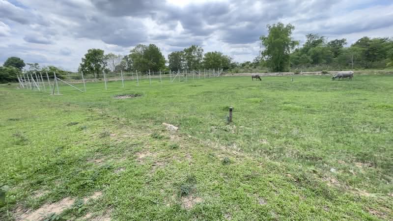 นครนายก, Nakhon Nayok, Phrommani, Muang Nakhon Nayok, Nakhon Nayok, , 400 sqm, Land For Sale, by ภัษกาญ บัวป้อม, 500349923 - DDproperty.com