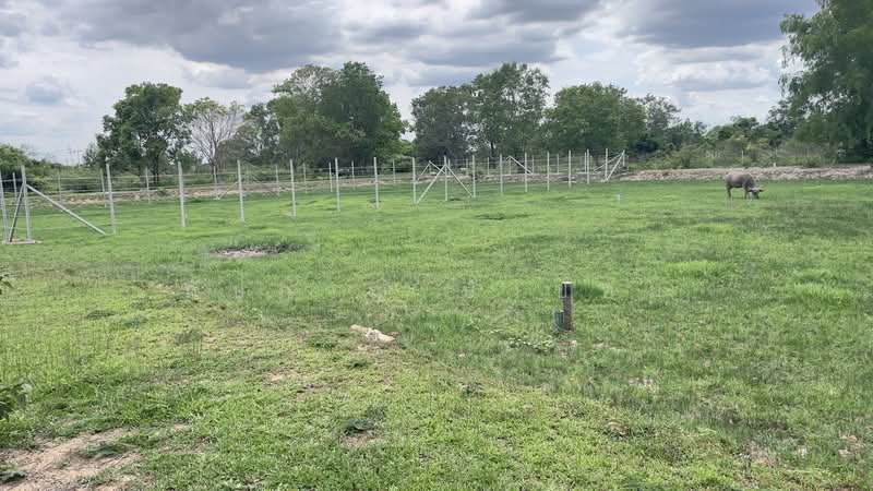 นครนายก, Nakhon Nayok, Phrommani, Muang Nakhon Nayok, Nakhon Nayok, , 400 sqm, Land For Sale, by ภัษกาญ บัวป้อม, 500349923 - DDproperty.com