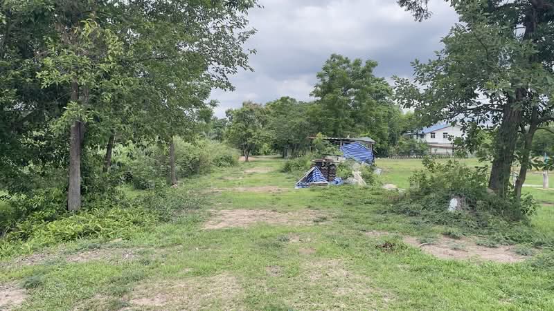 นครนายก, Nakhon Nayok, Phrommani, Muang Nakhon Nayok, Nakhon Nayok, , 400 sqm, Land For Sale, by ภัษกาญ บัวป้อม, 500349923 - DDproperty.com