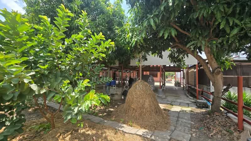 พระนครศรีอยุธยา, Phra Nakhon Si Ayutthaya, Wat Taku, Bang Ban, Phra Nakhon Si Ayutthaya, 5 Bedrooms, 204 sqm, Single Detached House For Sale, by Chutikan Sukphiromsanti, 500350249 - DDproperty.com