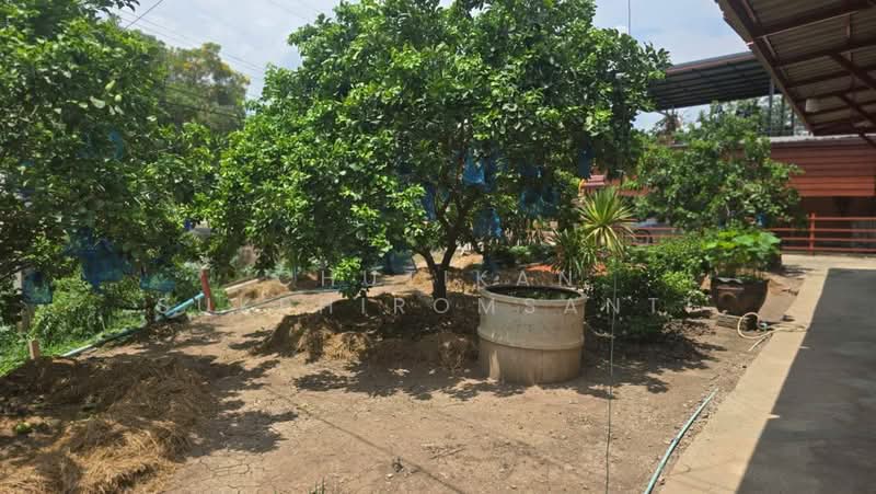 พระนครศรีอยุธยา, Phra Nakhon Si Ayutthaya, Wat Taku, Bang Ban, Phra Nakhon Si Ayutthaya, 5 Bedrooms, 204 sqm, Single Detached House For Sale, by Chutikan Sukphiromsanti, 500350249 - DDproperty.com