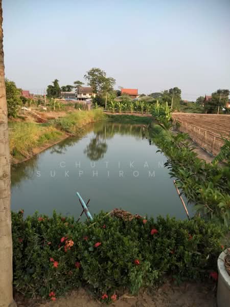 พระนครศรีอยุธยา, Phra Nakhon Si Ayutthaya, Wat Taku, Bang Ban, Phra Nakhon Si Ayutthaya, 5 Bedrooms, 204 sqm, Single Detached House For Sale, by Chutikan Sukphiromsanti, 500350249 - DDproperty.com