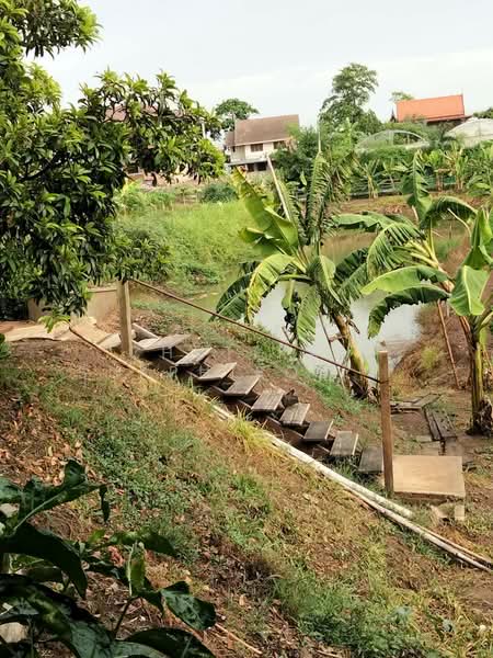 พระนครศรีอยุธยา, Phra Nakhon Si Ayutthaya, Wat Taku, Bang Ban, Phra Nakhon Si Ayutthaya, 5 Bedrooms, 204 sqm, Single Detached House For Sale, by Chutikan Sukphiromsanti, 500350249 - DDproperty.com