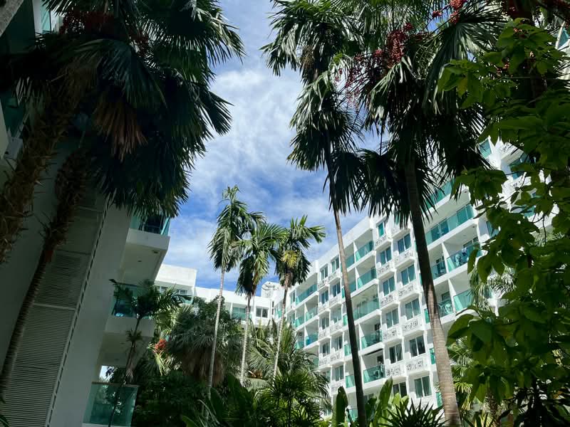 Amazon Residence Pattaya : อเมซอน เรสซิเดนซ์ พัทยา, ชลบุรี, ถนนบุณย์กัญจนา 5, หนองปรือ, บางละมุง, ชลบุรี, 73 ตร.ม., คอนโด ขาย, โดย Thitiporn Pawikham, 500350369 - DDproperty.com