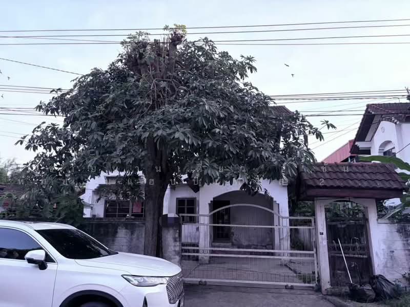 หมู่บ้านแฮปปี้เพลส 2, กรุงเทพ, ลาดกระบัง, กรุงเทพ, 200 ตร.ม., บ้านเดี่ยว ขาย, โดย คุณลี, 500350440 - DDproperty.com