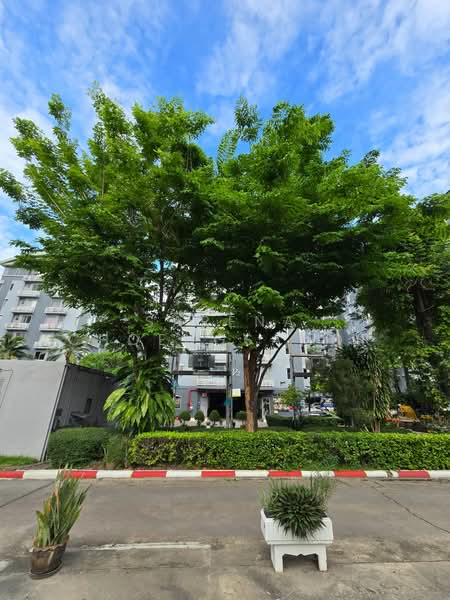 Supalai City Home Ratchada 10, Bangkok, Soi Ratchadaphisek 10, Ratchadaphisek Road, Huai Khwang, Bangkok, 2 Bedrooms, 69 sqm, Condo For Rent, by Sarena Choengsamor, 500350456 - DDproperty.com