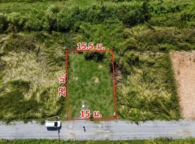 ์Nakhonsithammarat, Nakhon Si Thammarat, ปากนคร, Tha Sak, Muang Nakhon Sri Thammarat, Nakhon Si Thammarat, , 316 sqm, Land For Sale, by KIATTIKORN SUKGLUB, 500350492 - DDproperty.com