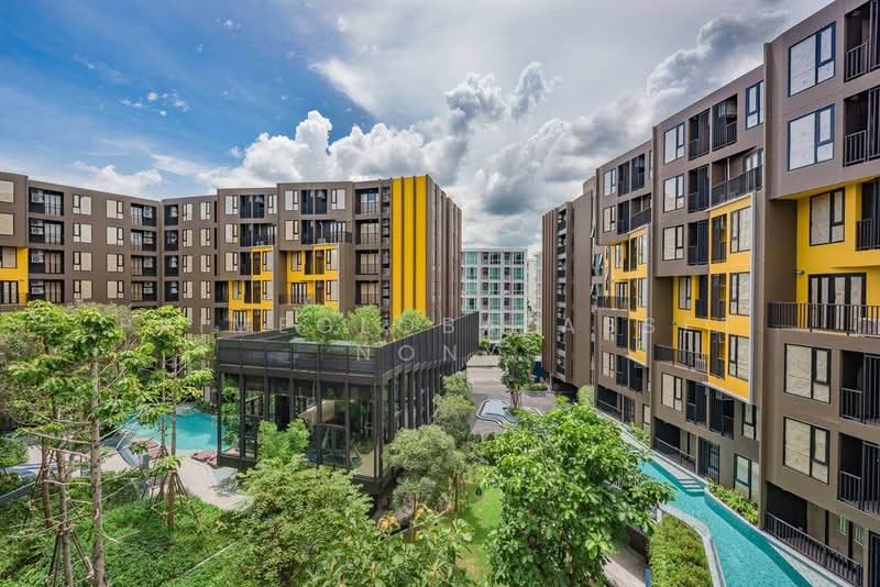 The Base Central : เดอะ เบส เซ็นทรัล ภูเก็ต, ภูเก็ต, ถนน เจ้าฟ้าตะวันตก, วิชิต, เมืองภูเก็ต, ภูเก็ต, 40 ตร.ม., คอนโด ให้เช่า, โดย primeglobalasset Nony, 500350534 - DDproperty.com