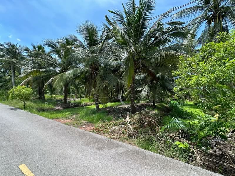 ที่ดินอัมพวา สมุทรสงคราม, Samut Songkhram, Plai Phongphang, Amphawa, Samut Songkhram, , 7,116 sqm, Land For Sale, by The Best Property อ้อ, 500350548 - DDproperty.com