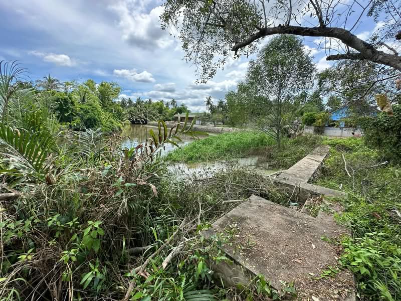ที่ดินอัมพวา สมุทรสงคราม, Samut Songkhram, Plai Phongphang, Amphawa, Samut Songkhram, , 7,116 sqm, Land For Sale, by The Best Property อ้อ, 500350548 - DDproperty.com