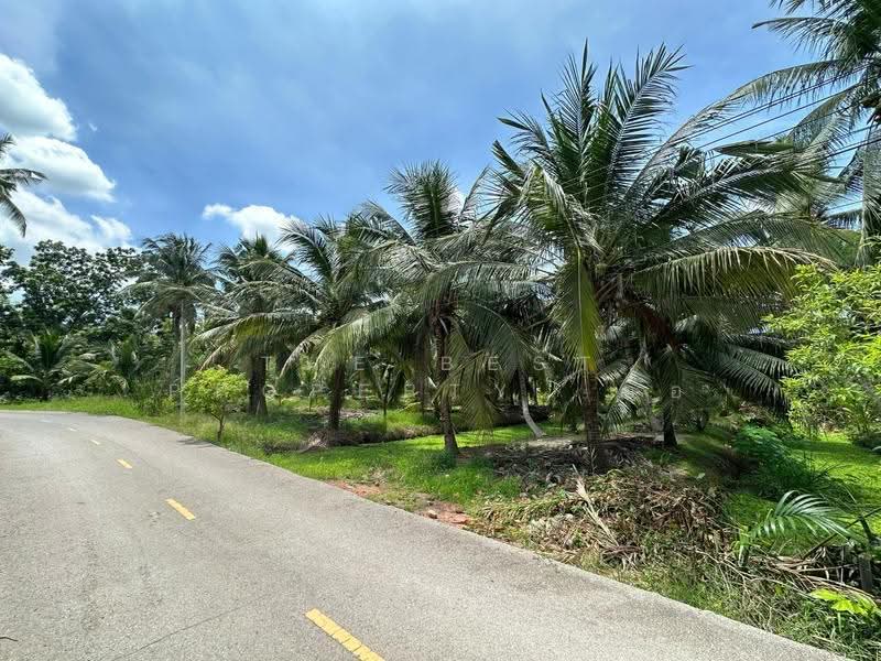ที่ดินอัมพวา สมุทรสงคราม, Samut Songkhram, Plai Phongphang, Amphawa, Samut Songkhram, , 7,116 sqm, Land For Sale, by The Best Property อ้อ, 500350548 - DDproperty.com