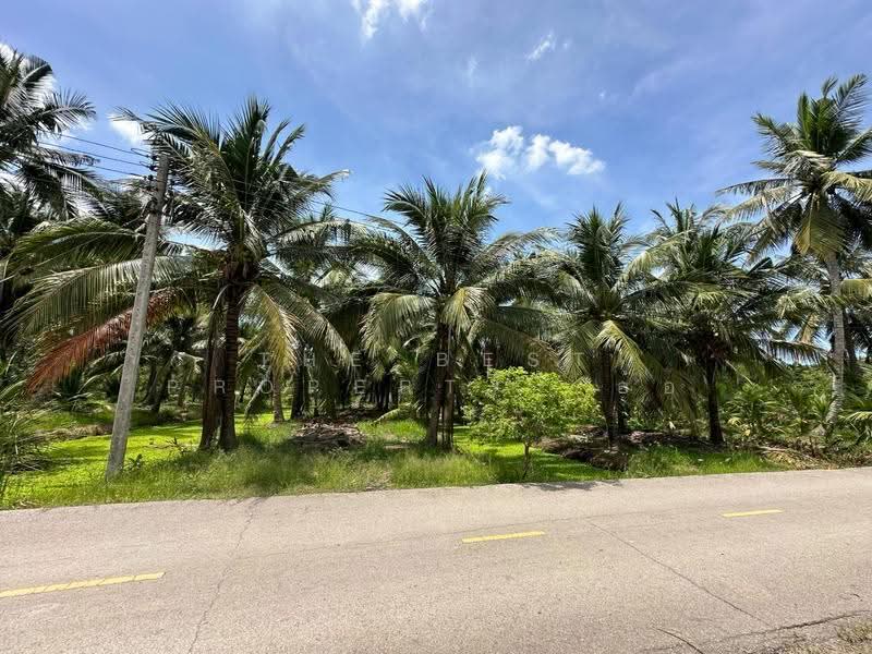 ที่ดินอัมพวา สมุทรสงคราม, Samut Songkhram, Plai Phongphang, Amphawa, Samut Songkhram, , 7,116 sqm, Land For Sale, by The Best Property อ้อ, 500350548 - DDproperty.com